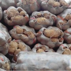 供应万亩产地土豆