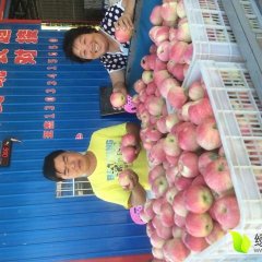 山西运城临猗县北辛乡黄土高坡红星苹果