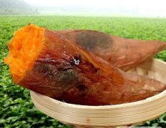 昌邑农家自种红薯数几十万斤