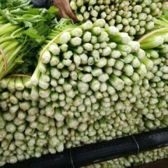 铜山 无公害蔬菜基地的核心区域