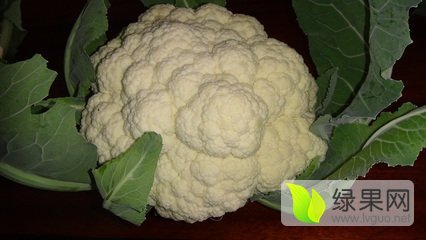 2016年河南通许雪玉价格