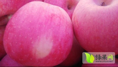 2016年陕西旬邑红富士价格