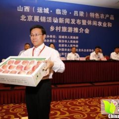 山西运城临猗苹果