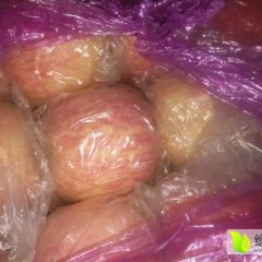 山西万荣纸加膜红富士果农已经脱袋