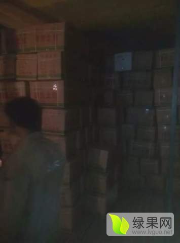2016年山东滕州荷兰十五价格