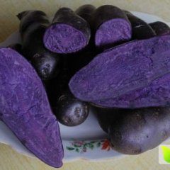 山东滕州黑金刚土豆迷你小土豆随行就市