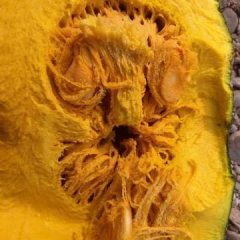 内蒙古呼伦贝尔鄂伦春旗大杨树