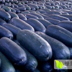 供应：山东济宁金乡县黑皮冬瓜-价格便宜