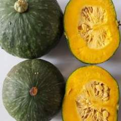 内蒙古通辽市科尔沁区丰田镇绿栗王南瓜