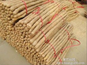 2016年山东单县铁棍山药价格