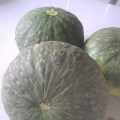 内蒙古通辽市科尔沁区福旺惠农种植合作社