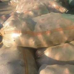 永昌土豆著名品牌,辰远李佳亮诚信合作