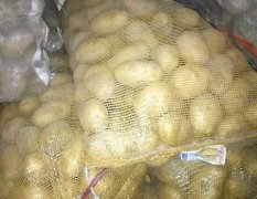 山西省神池质高产土豆种子冀张薯
