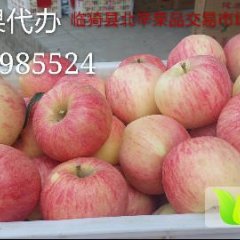 山西临猗花冠苹果欢迎合作