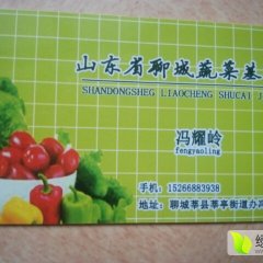 山东莘县冯耀岭代办二红皮洋葱 出库中