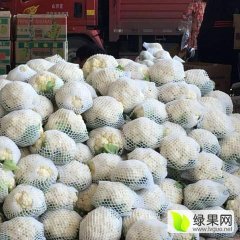 2016东昌府菜花今年价格有看点
