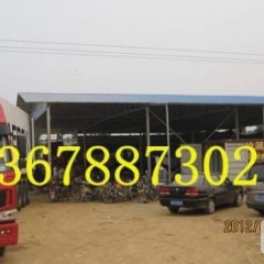 购销大葱，出售葱种