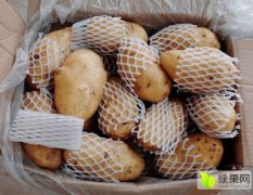 安丘有2-4小土豆和4两以上通货两种规格的土豆