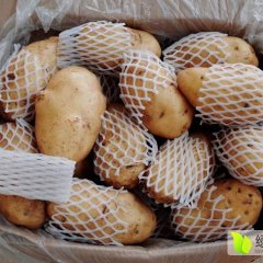 安丘有2-4小土豆和4两以上通货两种规格的土豆