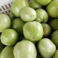 汝州米庙王现伟7月夏宝西红柿