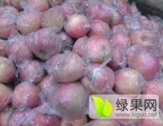 陕西大荔高山精品膜袋红富士苹果