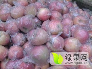 2016年陕西大荔红富士价格