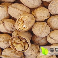 2016年9月新货薄皮核桃上市了