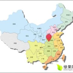 内乡韭菜价格适宜，席运甫诚信合作