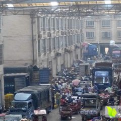 广西永丰水果批发市场 代销蜜桔，沙糖桔