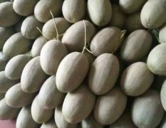 寿光甜瓜正是瓜下来量大的时候，价格低