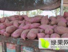 开封县、郭庄农产品农贸大市场