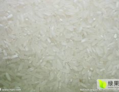 四川翠屏粳米稻米诚意代办