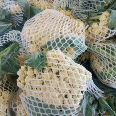 2016东昌府区白面青更松花菜