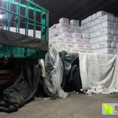 东莞虎门余生9255月荷兰十五土豆