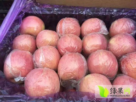 2016年陕西大荔红富士价格