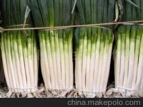 诚信赢天下-平度铁杆钢葱上市