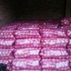 临猗县北辛乡赵村膜袋红富士