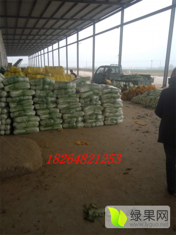 2014年山东肥城北京新三号价格