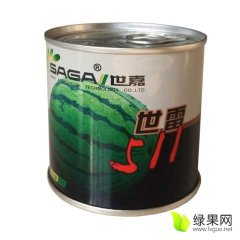 最好的西瓜种子世雷511