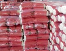 山东肥城北京新三号白菜逐渐升温