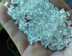 东北大米，黑龙江大米，五常大米，稻花香大米