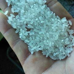 东北大米，黑龙江大米，五常大米，稻花香大米