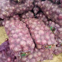 陕西省榆林市定边县洋葱衣食梁农贸市场