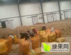 陕北优质土豆供应批发