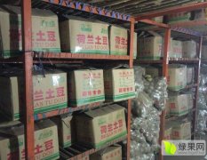 山东省安丘市土豆现在订货有惊喜