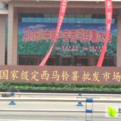 定西，被誉为“中国薯都”