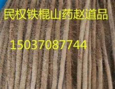 河南民權(quán)鐵棍山藥口感爽口