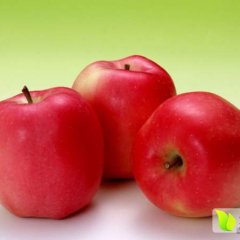 万荣王显胡勇宣10月红富士苹果