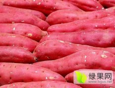 山西忻州红薯大量上市了！
