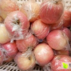 山西运城纸袋富士大量上市75以上1.1元